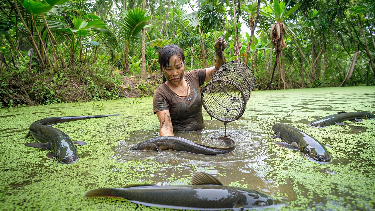 Fishing: Catching Giant Fish in the Hidden Swamp | by@NewWildLandOffGrid
