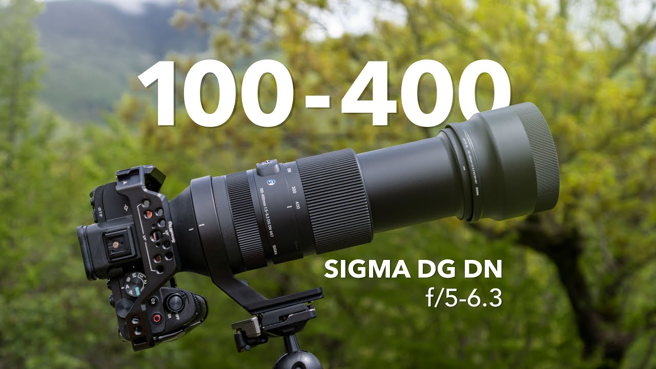 Объектив Sigma 100-400 мм | Обзор лучшего телеобъектива для путешествий с полным кадром и APSC?