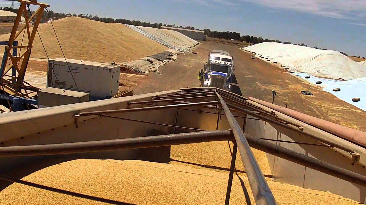 Wolter Farms 2014 Australian Harvest