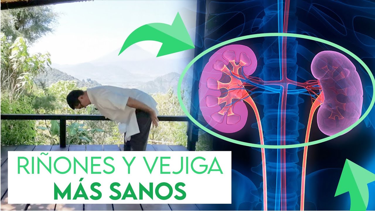 NUEVO TUTORIAL! Tai Chi Qi Gong para REVITALIZAR tus órganos - Clase # 2 (RIÑONES Y VEJIGA)
