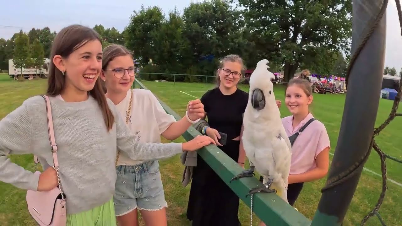 Ohňostroj Jeseník nad Odrou 2025 - Pyro Moravia®