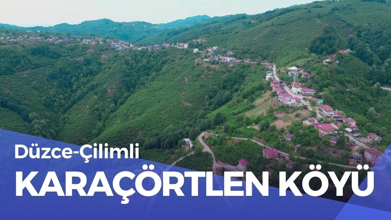 KARAÇÖRTLEN KÖYÜ/DÜZCE ÇİLİMLİ 