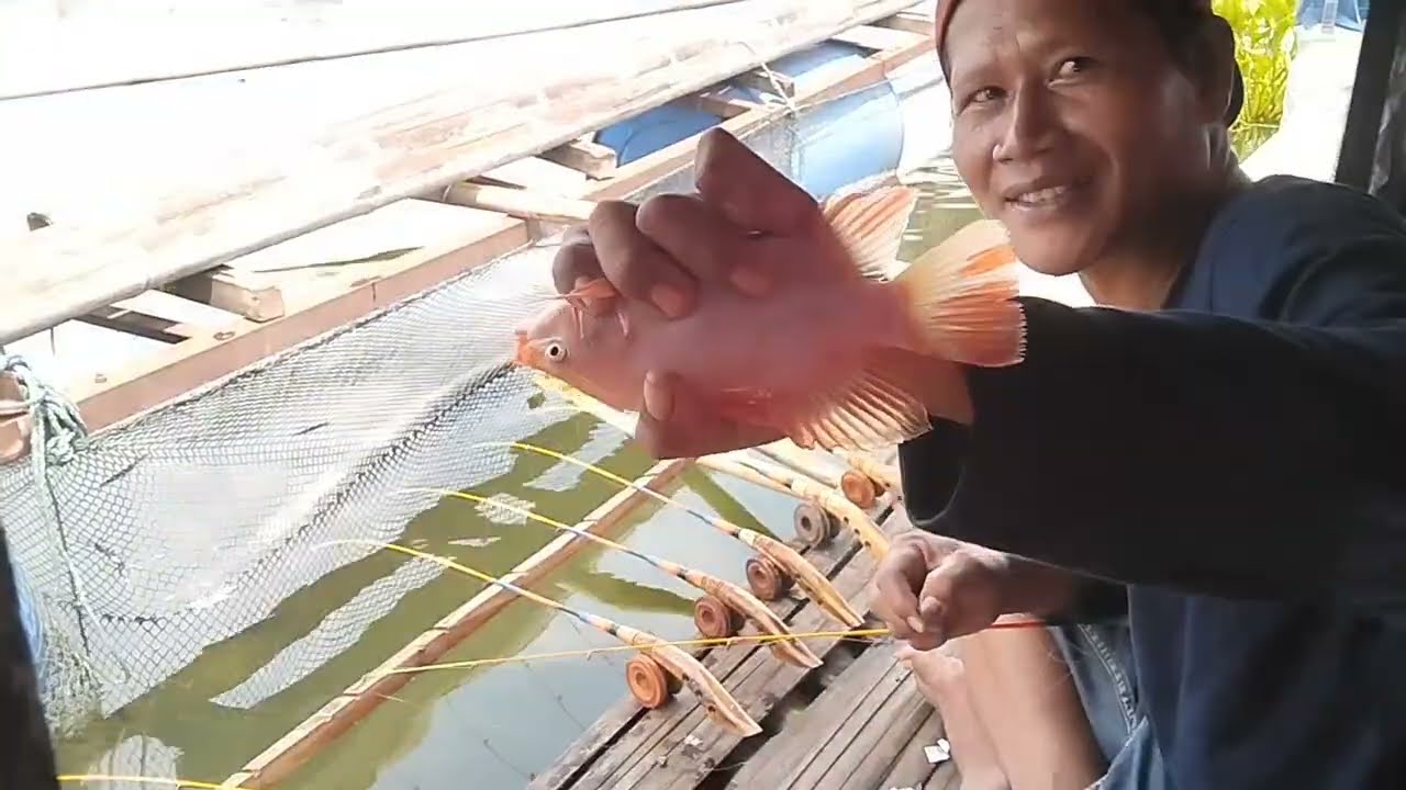 Mancing ikan di spot ini dapat ikan mas dan ikan nila nya besar besar.