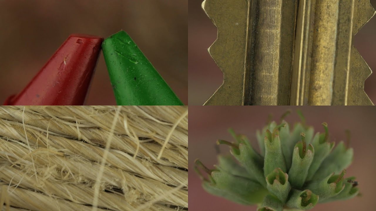 Closeup Object & Sound Exploration for ASMR, Relaxation & Sleep