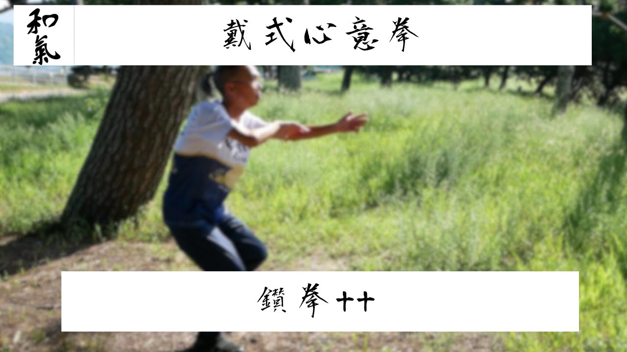 戴式心意拳「鑚拳++」 vol.122　Dai shi Xinyi 　 Chinese Martial Arts　中国武術 Kungfu  wushu