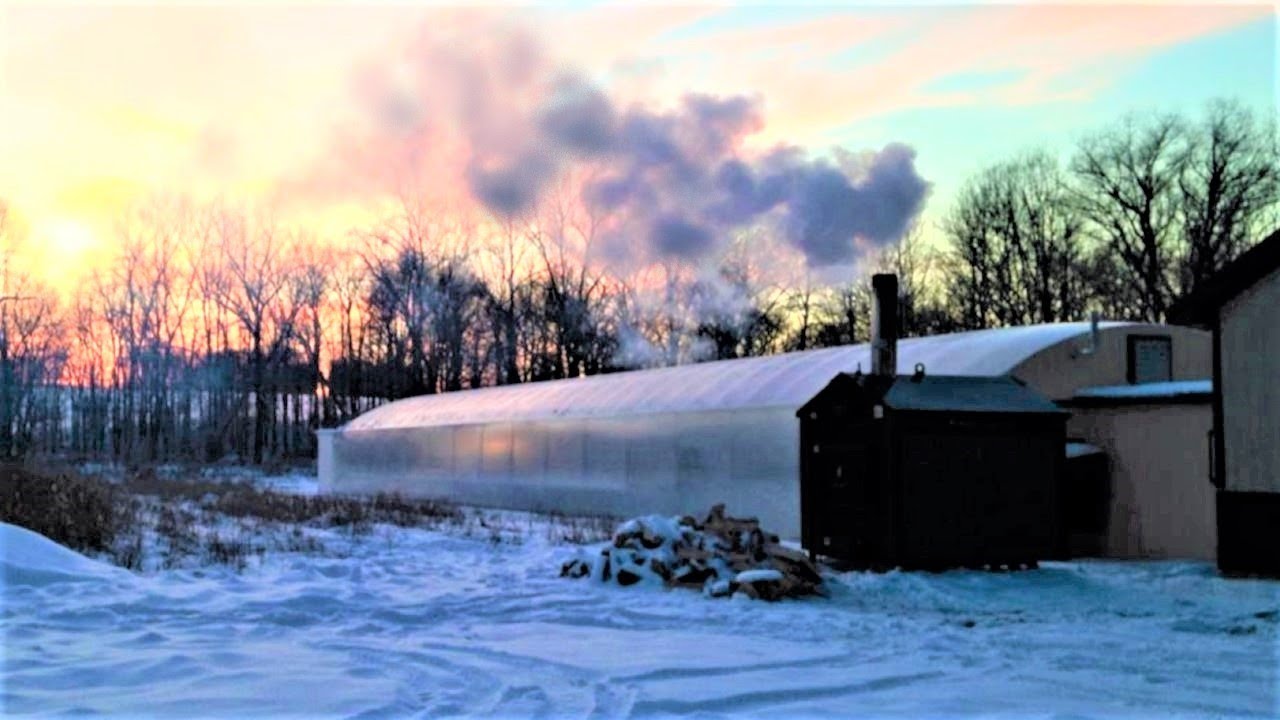 Hydroponic Winter Crops