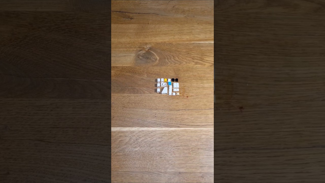 Can you do that? Sweet  kitten LEGO  