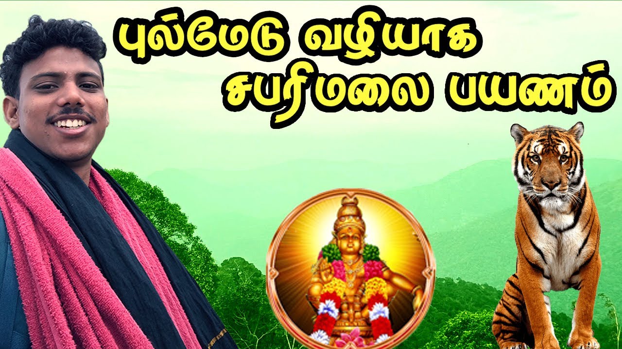 சபரிமலை பயணம் 2025 |புல்மேடு வழி எப்படி இருக்கு
