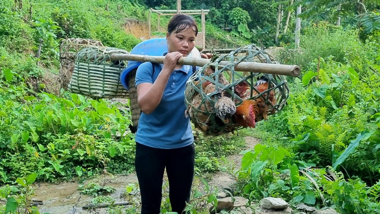 Traditional process of weaving bamboo baskets and moving chickens to new homes | Trieu Thi Senh