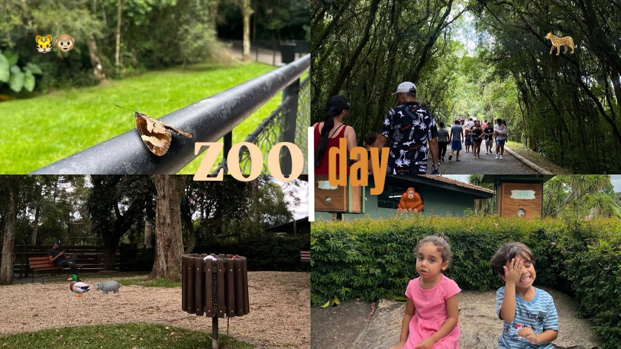 Zoo day!! 🤍