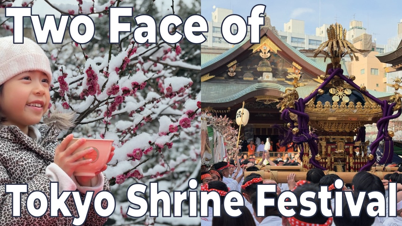 Mikoshi, Matcha & Plum Blossoms! 🇯🇵 Festival at Japan’s God of Learning Shrine, Yushima Tenjin⛩️