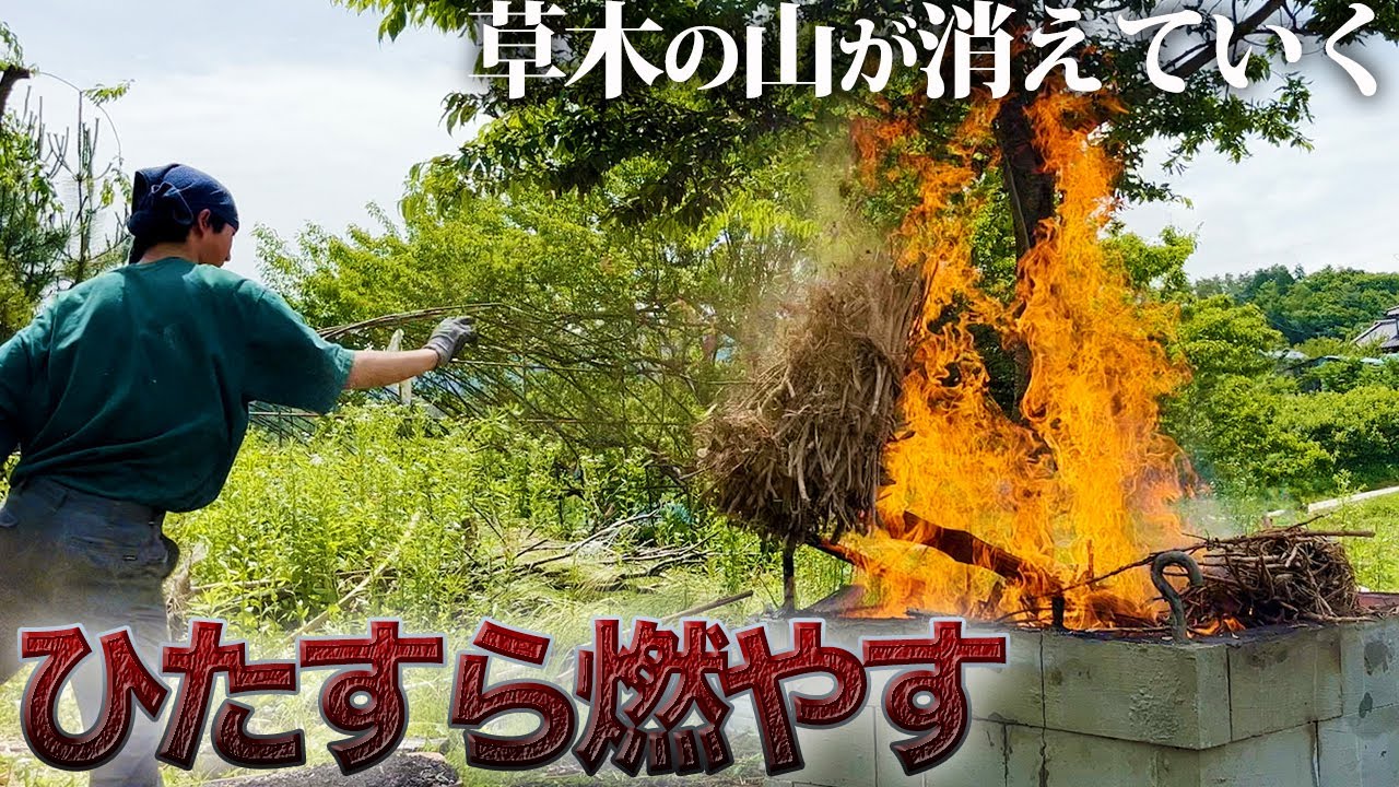 【ストレス解消】気持ちが良い程どんどん燃えてく!!高火力で効率アップ【99日目】