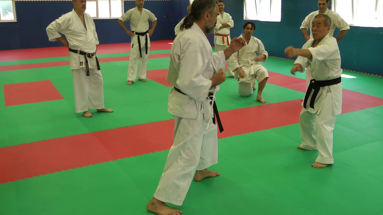 Stage de karaté Goju-Ryu Marseille 2018