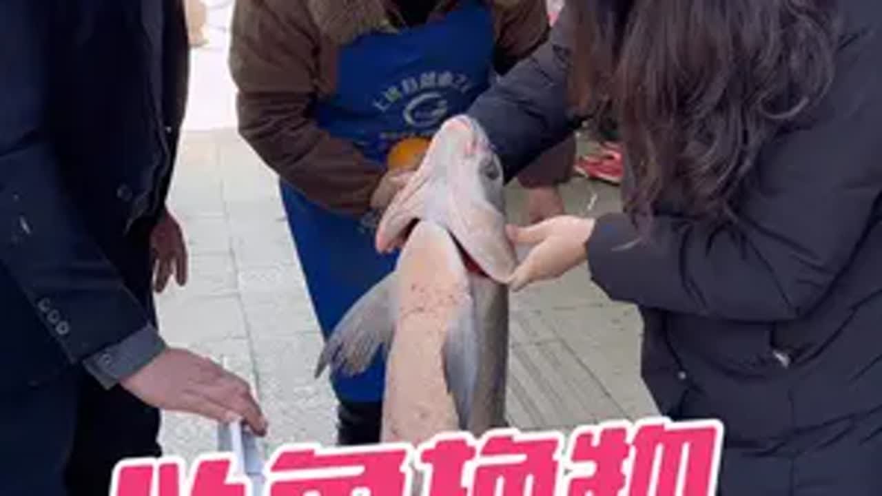 以鱼换物，三条鱼换老板娘一条烟，你们觉得老板娘有没有亏。鱼换万物 原来钓鱼才是抖音运动顶流 以物换物