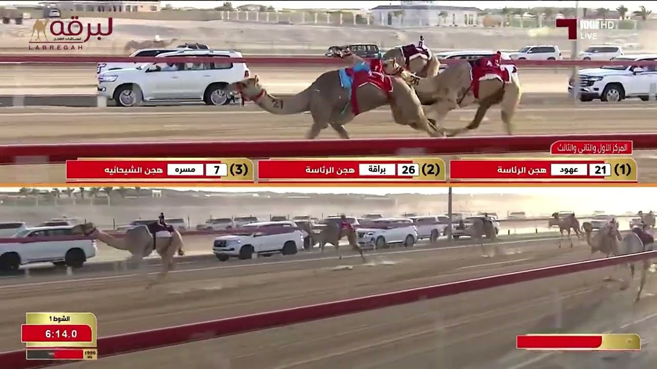 ش1 تنوية لـ هجن الشحانية (مهرجان ختامي الوثبة 15-05-2025م) كأس الثنايا بكار مفتوح 12:11:14