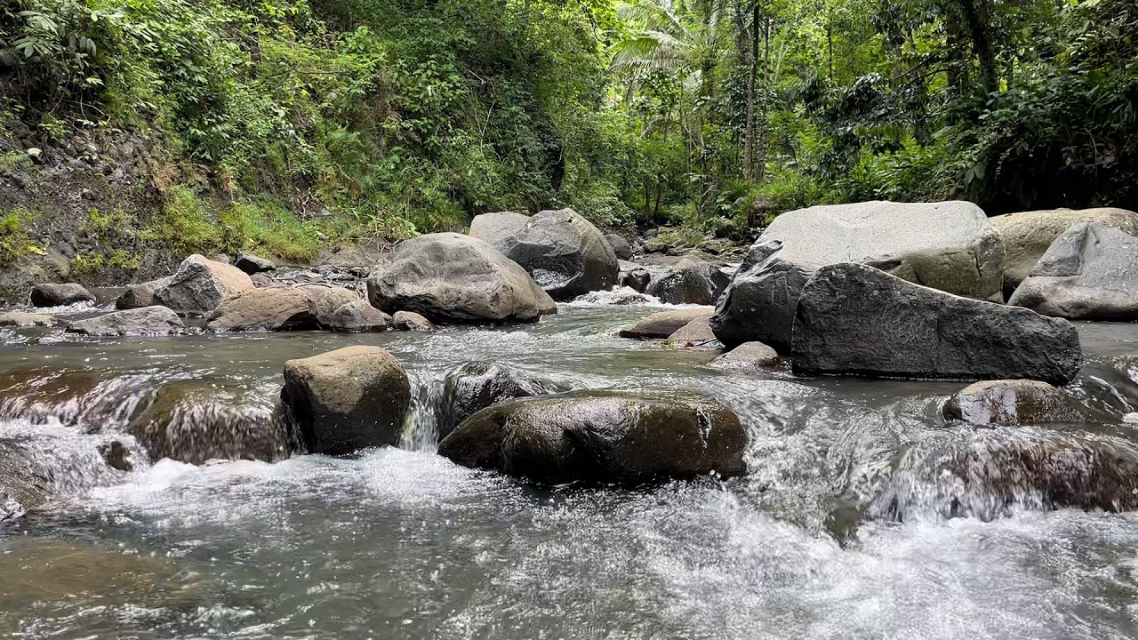 River Sounds for Deep Sleep 🌊 Relaxing Nature Ambience to Sleep Instantly & Relieve Stress