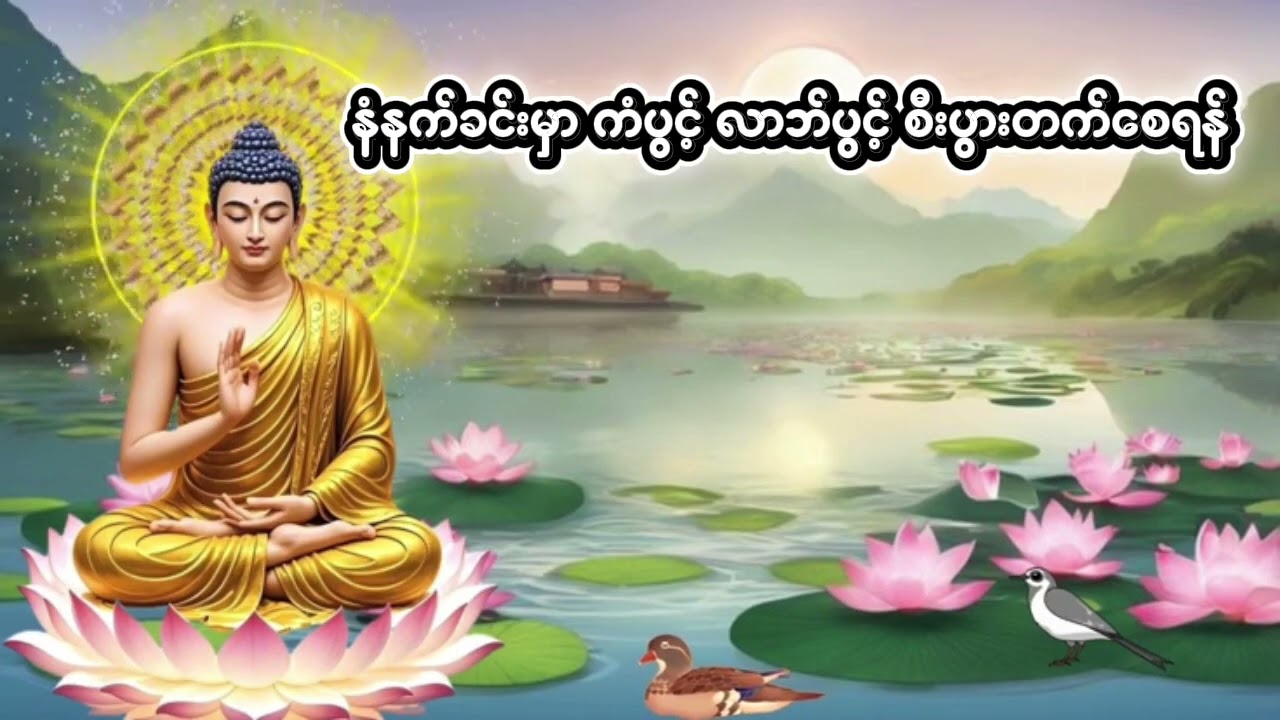 ကံပွင့် လာဘ်ပွင့် စီးပွားတက် ပဌာန်း#တရားတော် #တရားတော်များ #တရားများ #myanmaryoutubechannel #views