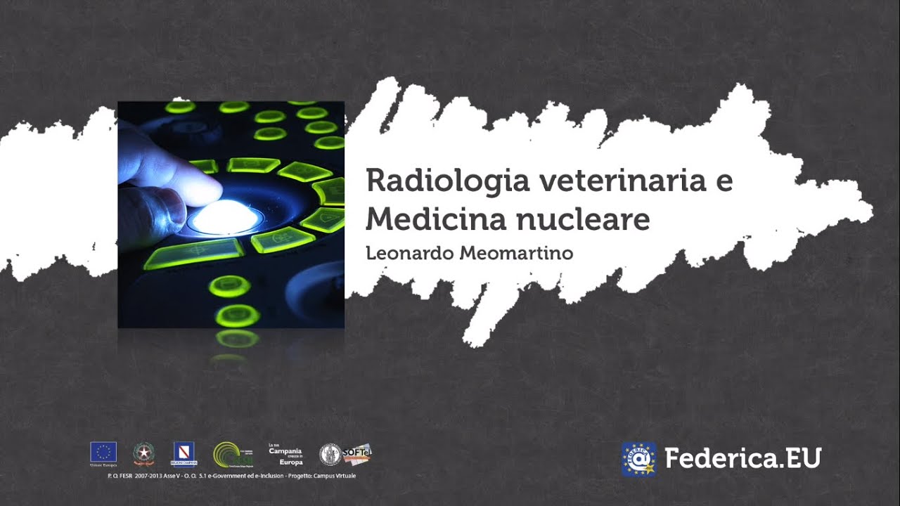Diagnostica delle immagini radiologiche -  Unit 2 -  Lezione 1