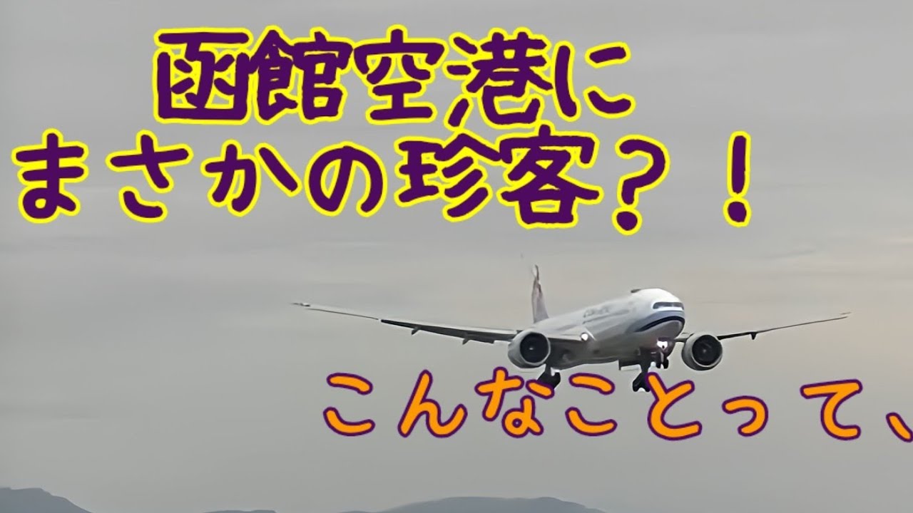 【函館空港】とんだ珍客が飛来！？嬉しいアクシデントでした！