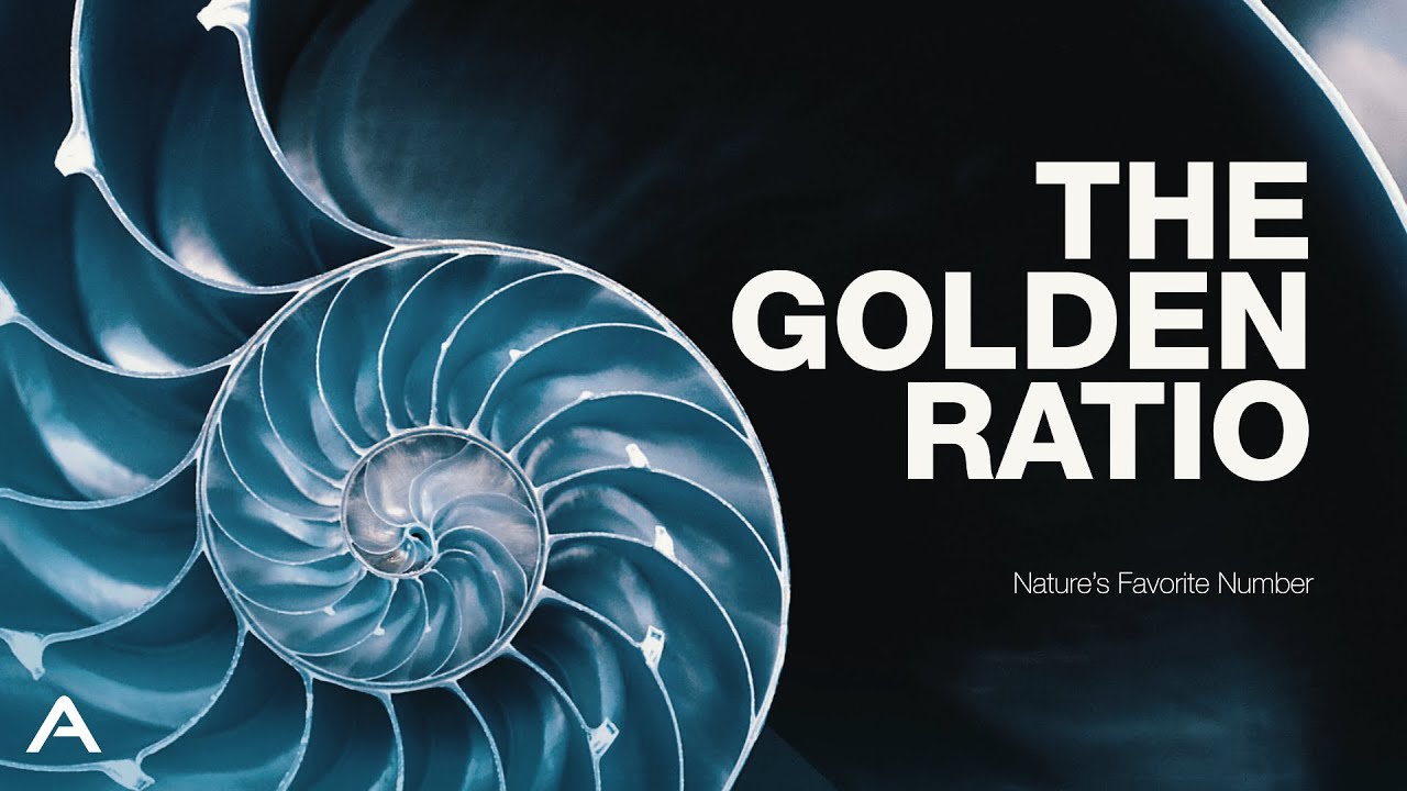 The Golden Ratio: Nature's Favorite Number