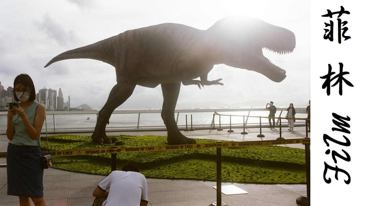 #123 FujiFilm Fujicolor Superia 200 (Expired 18 years)