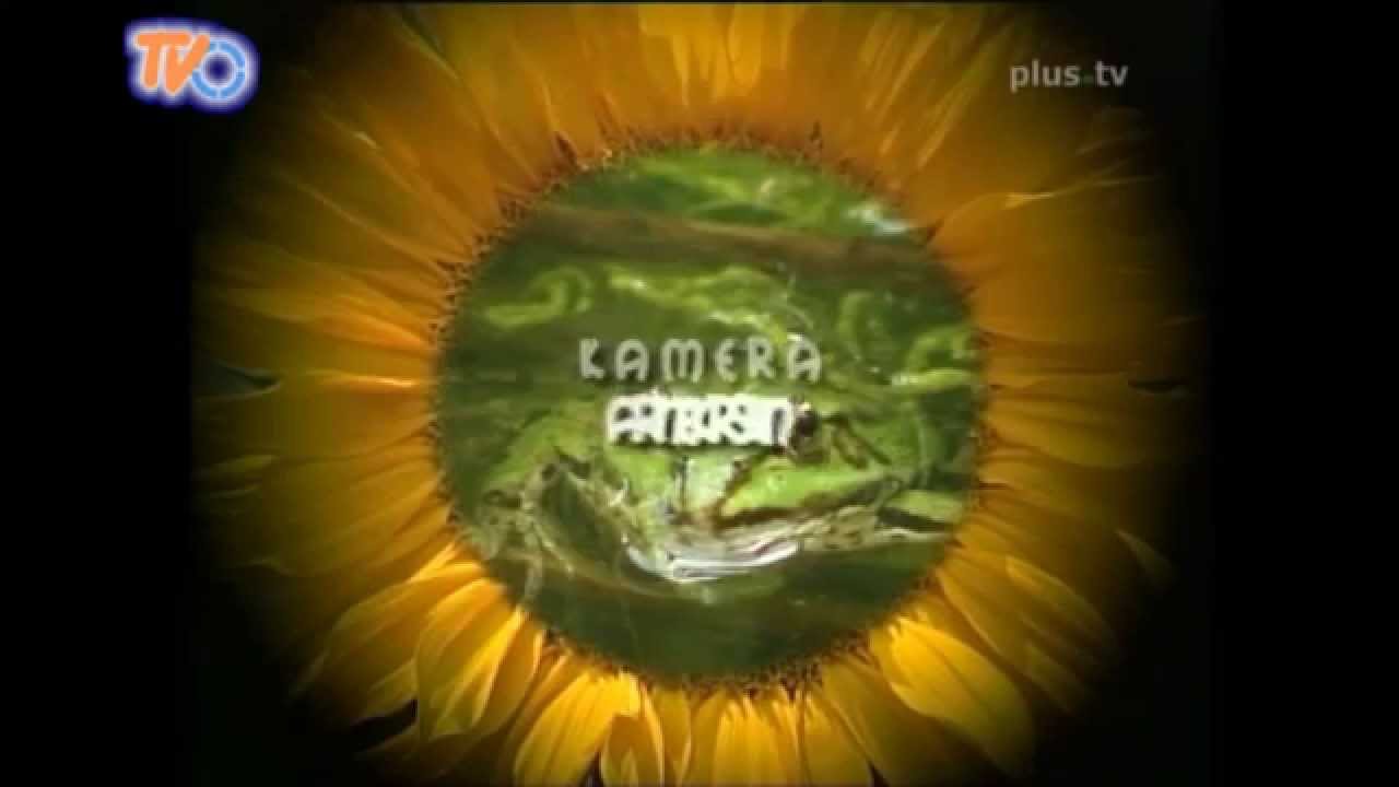 Gartenmagazin 2002 Gera