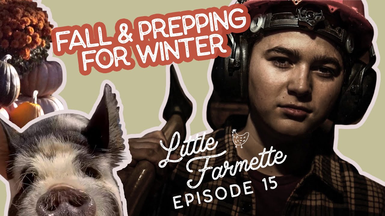 Prepping for winter on the homestead!  Episode 15 - The Little Farmette