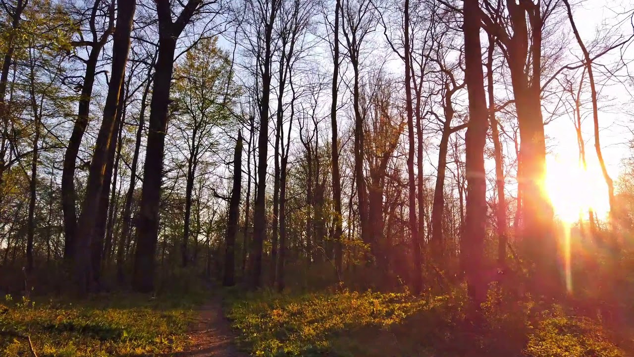 Ein Geschenk f&uuml;r euch-Abendrundfahrt am 4.4.20 Biebesheim-Ried- M&uuml;nchen