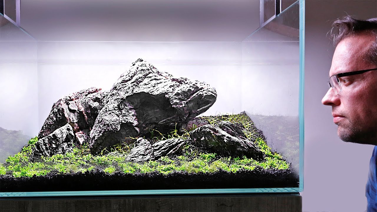 Pete's Iwagumi - How to aquascape with rocks