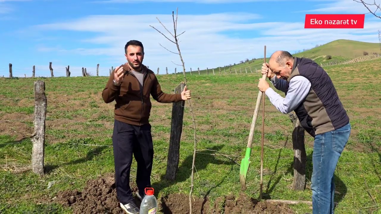 Yardımlı Rayonu Bərcan kəndi  2026