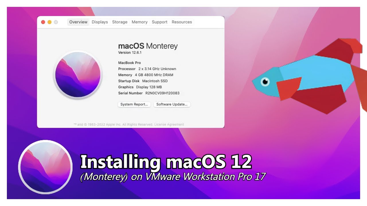 Installing macOS 12 Monterey on VMware Workstation Pro 17
