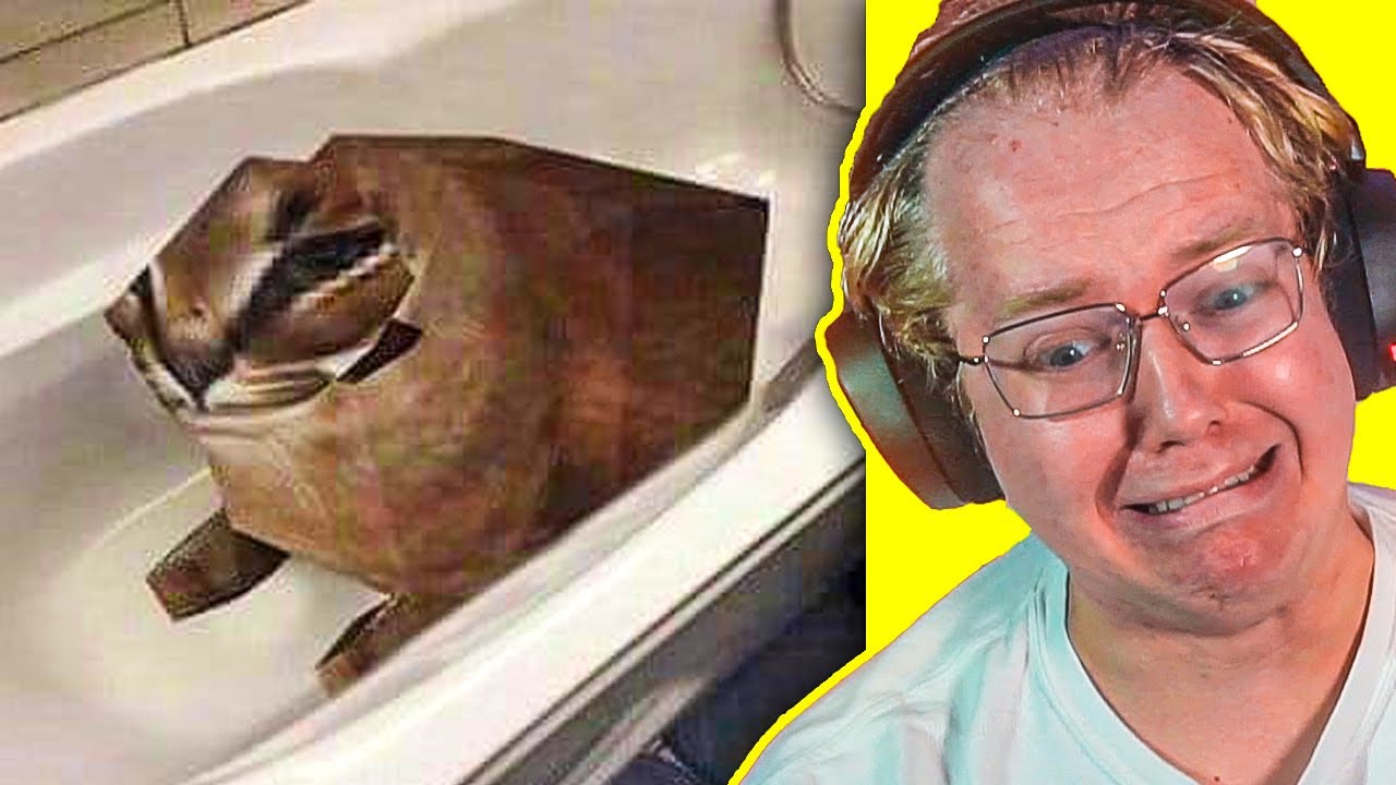 UNUSUAL MEMES COMPILATION V115