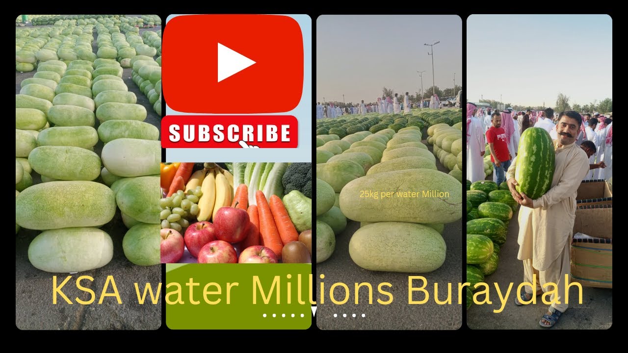 Watermelons 25kg Buraydah alqassim Market visit watermelons Weleed Imran vlogs🇸🇦