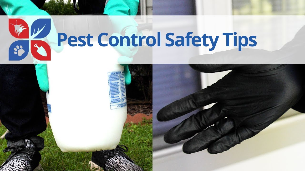 Pest Control Safety Tips for Safe & Effective Treatments | DoMyOwn