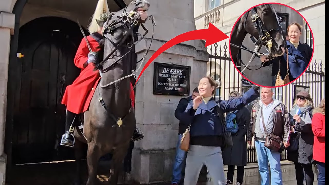 Stupid Tourist PULLS The Reins Twice! Watch How THE KING’S GUARD and Horse REACTS 😡