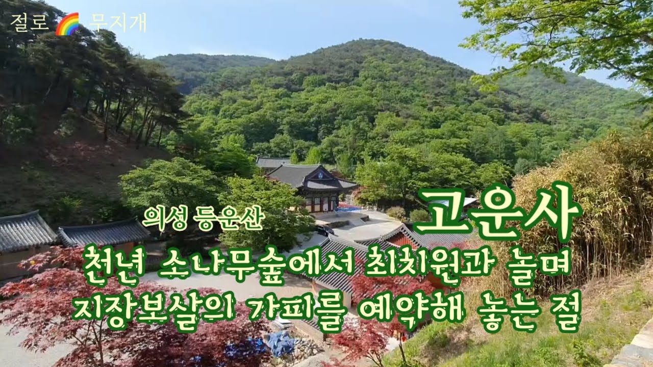 [사찰 기행] 고운사 2023년 화재 전 모습, 천년 소나무숲에서 최치원과 놀며 지장보살의 가피를 예약하는 절, 경북 의성 Gounsa Temple