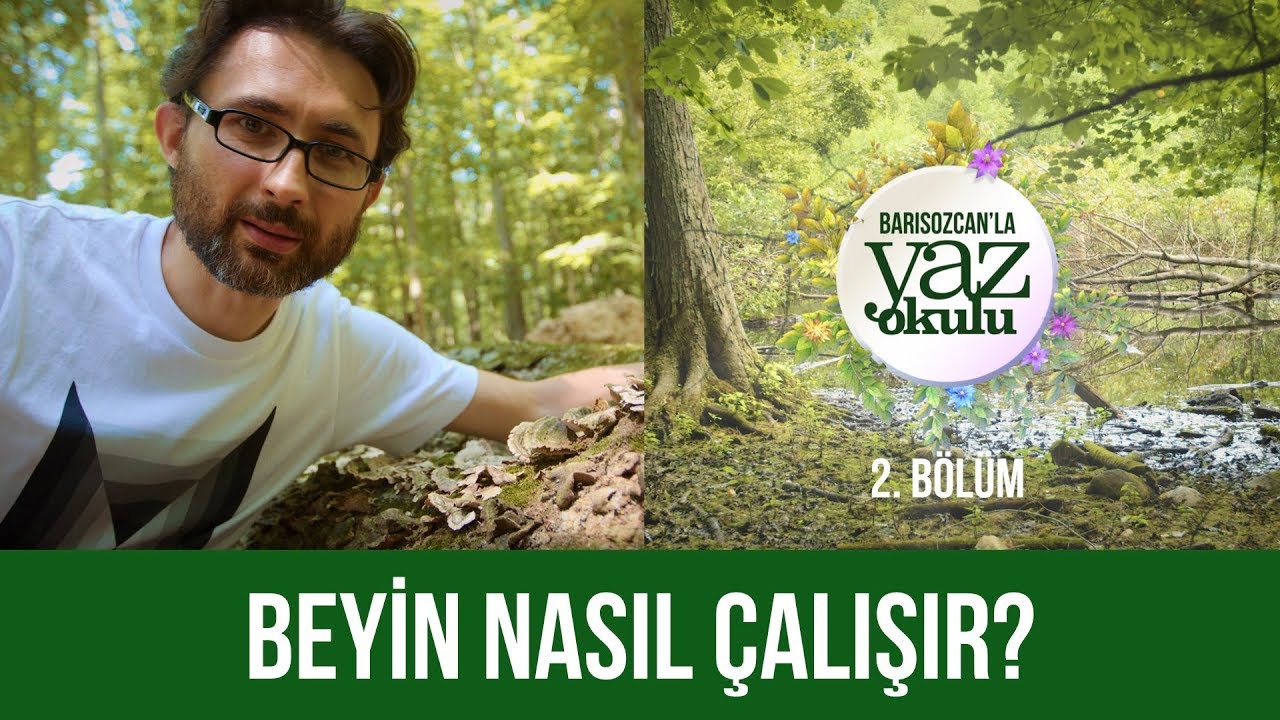 Beyin nasıl &ccedil;alışır? - Yaz Okulu 2