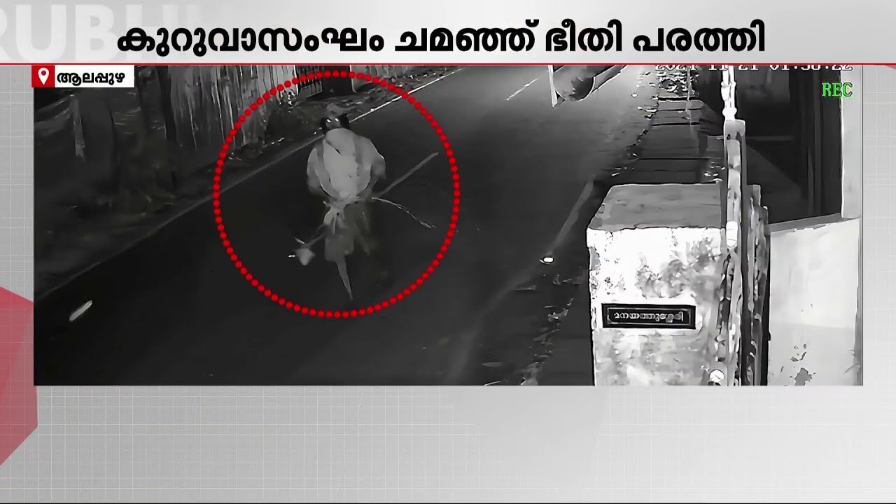 കുറുവ സംഘത്തിന്റെ മറവിൽ ഭീതിപടർത്തി സാമൂഹ്യവിരുദ്ധർ; രണ്ടുപേരെ പോലീസ് പിടികൂടി | kuruva