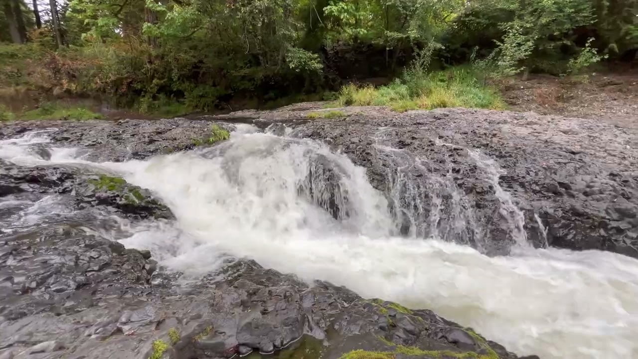 Riverside on Chehalis River, @ Rainbow Falls State Park (WA)