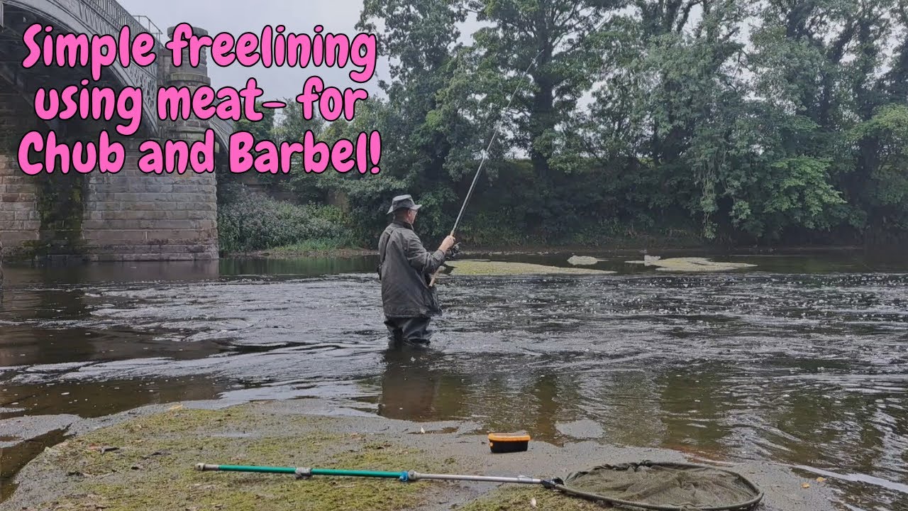 Roving on the Ribble!  Chub and Barbel fishing on a classic Northern River.#coarsefishing