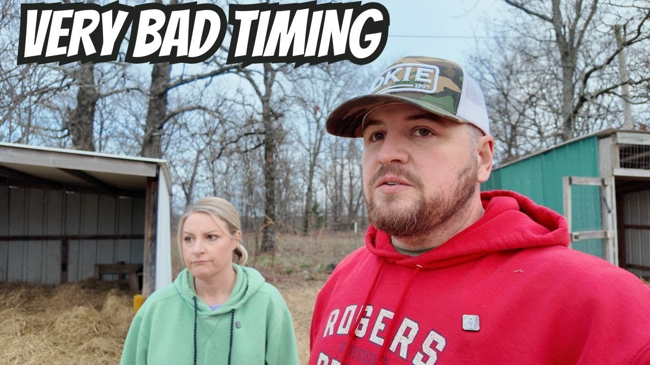 The Babies Are Going To Born At The Worst Possible Time!