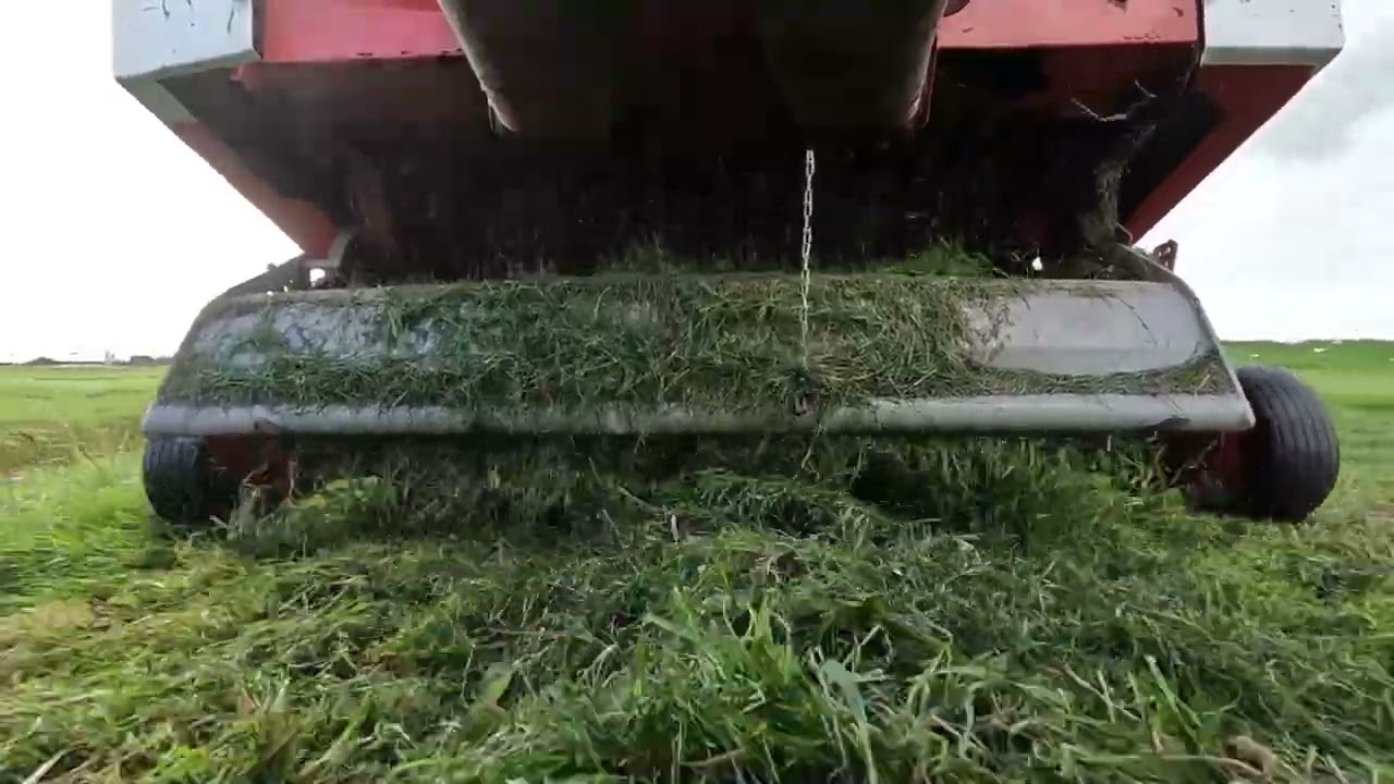 Forage loading wagon / Mengele Garant 545G