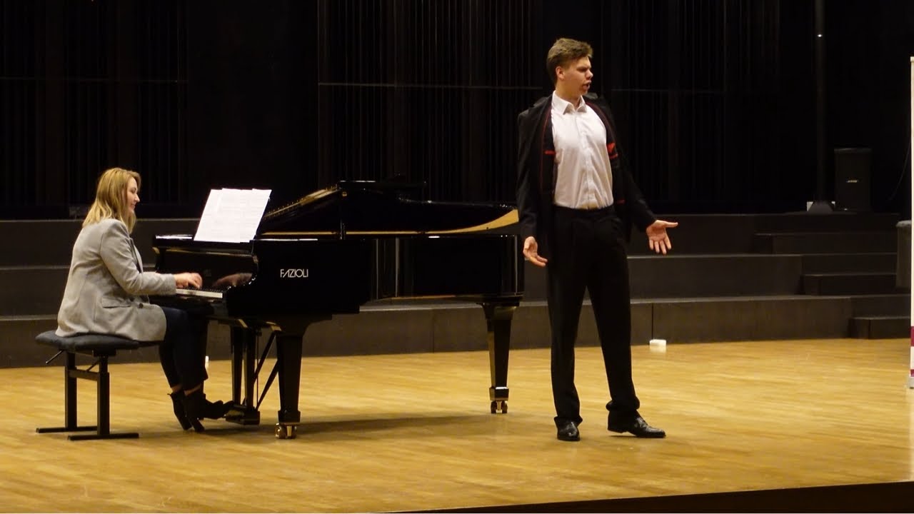 W.A.Mozart - "Ho capito, signor sì" z op."Don Giovanni" - Marcel Nytko 17 lat