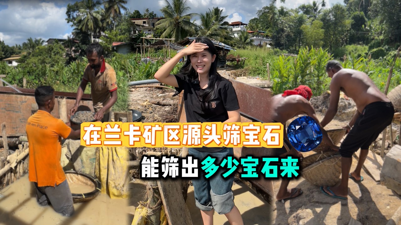 在【蘭卡礦區】源頭篩寶石，看看能否滿載而歸｜彩礦一鳴珠寶｜一鳴珠寶｜Srilanka GemKing｜SapphireSource ｜