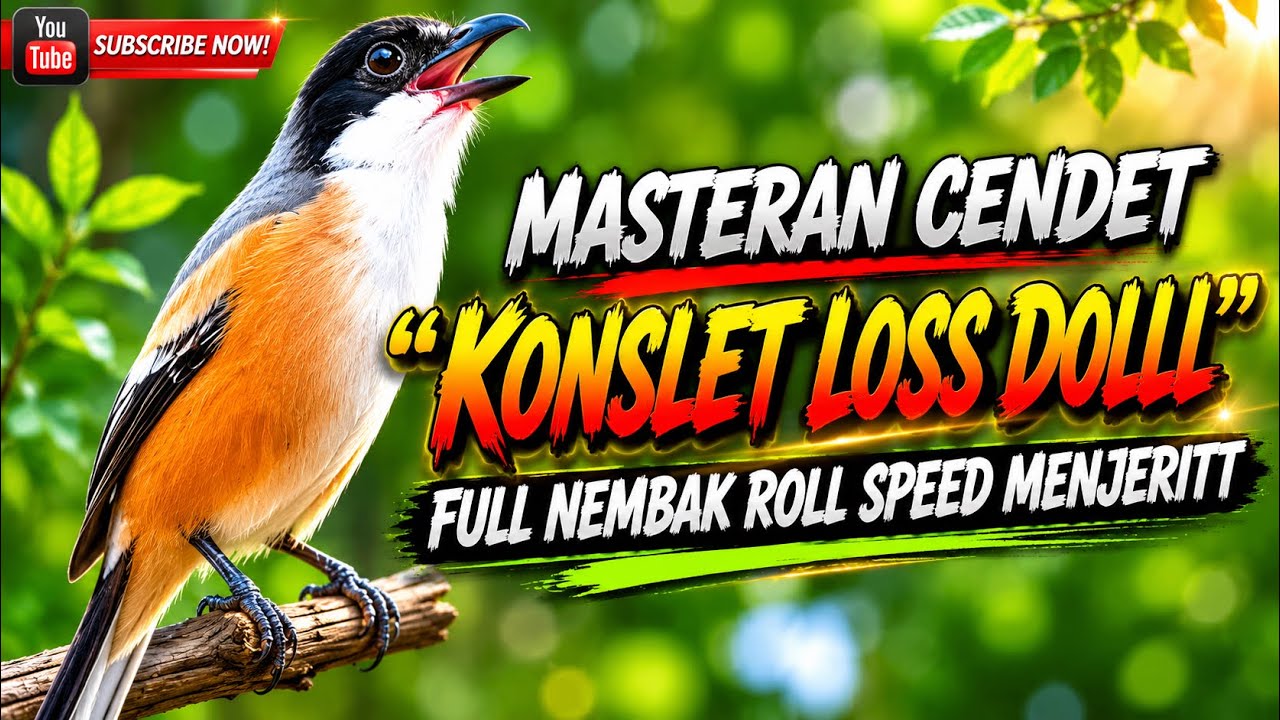 MASTERAN CENDET FULL ISIAN NEMBAK KEJER TERBAIK SEPANJANG MASAA !!!