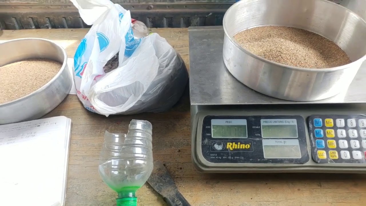 PRUEBA DE COMPACTACIÓN