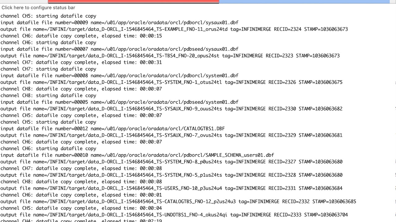 Large Oracle DB Backup Acceleration