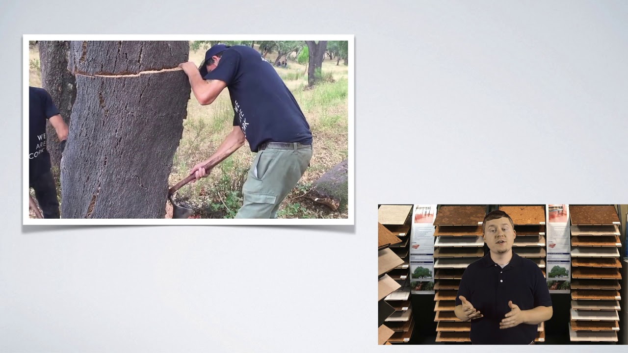 Top Ten Benefits of Cork Flooring -  Environmentally Friendly
