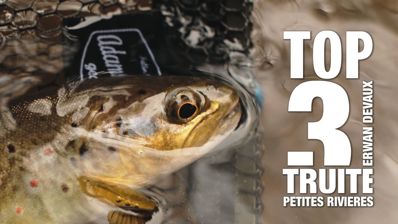 3 LEURRES POUR PÊCHER LA TRUITE EN PETITE RIVIERE