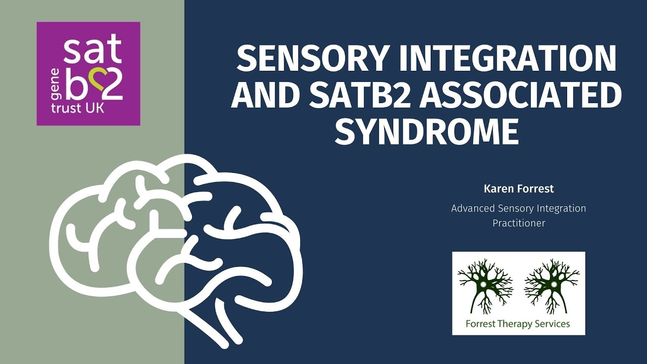 Sensory Integration and SATB2-associated syndrome